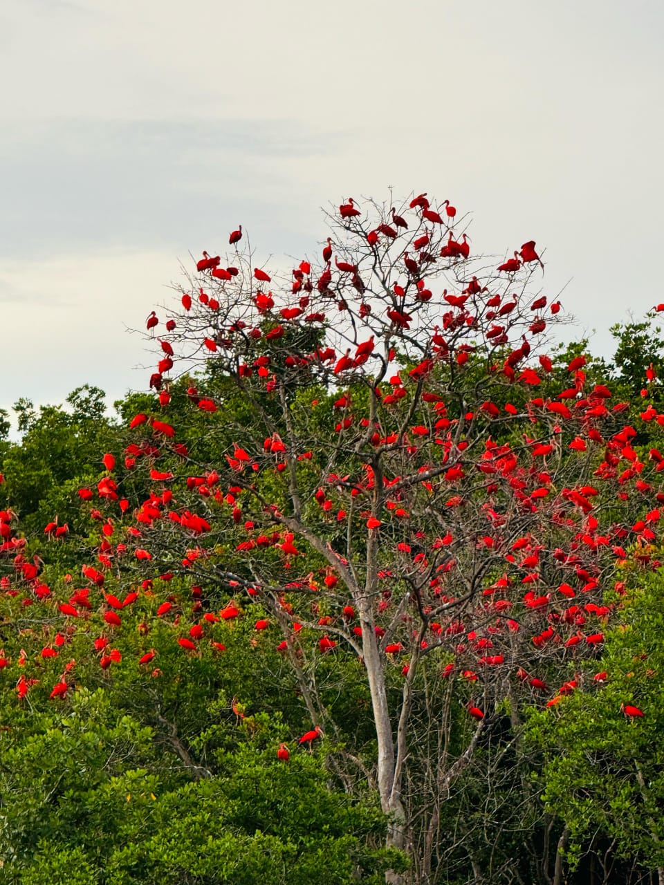 Encontro do rio com o mar