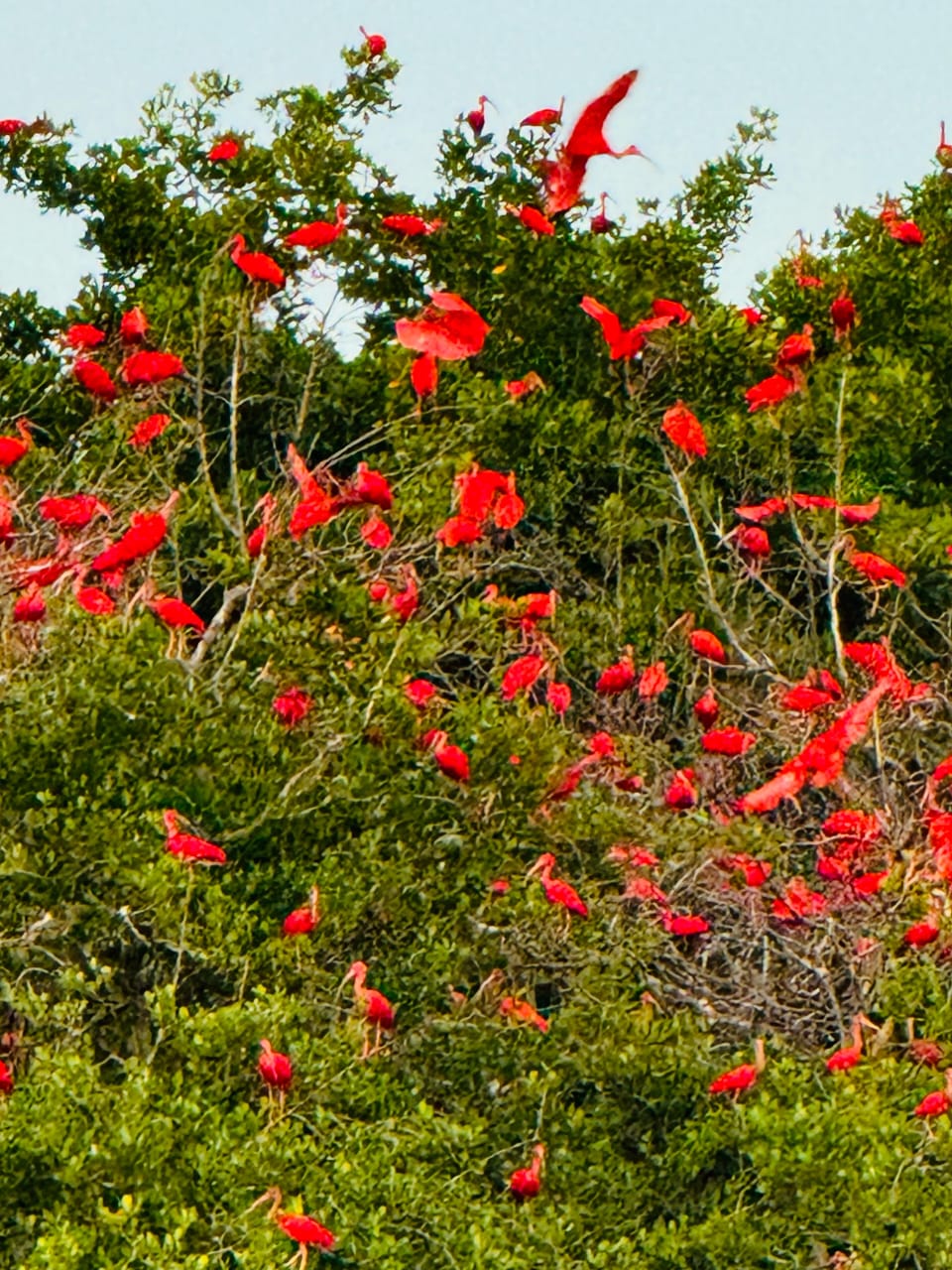 Encontro do rio com o mar